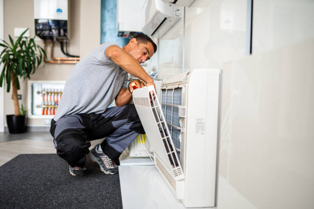 Best Air Duct Mold Removal  in Belle Isle, FL