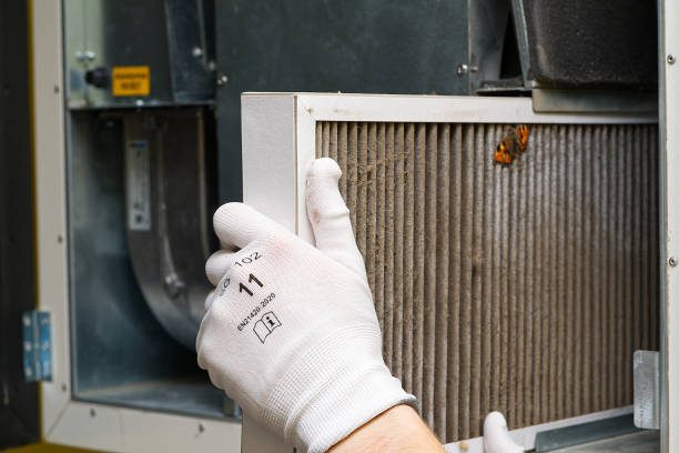 Best Air Duct Cleaning Near Me  in Belle Isle, FL