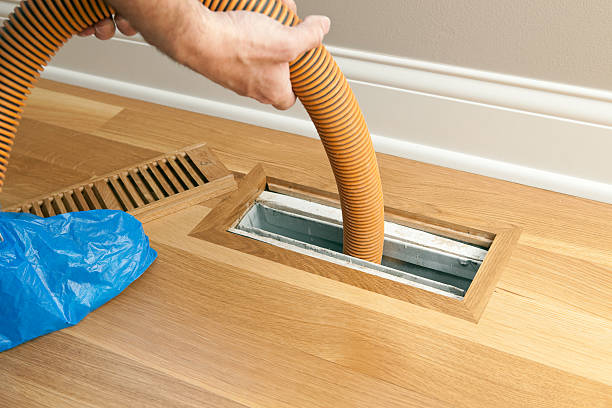 Best Best Air Duct Cleaning Company  in Belle Isle, FL