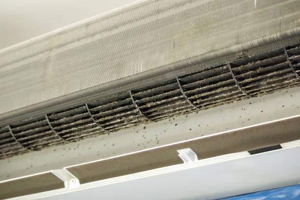 Best Air Duct Cleaning Company Near Me  in Belle Isle, FL