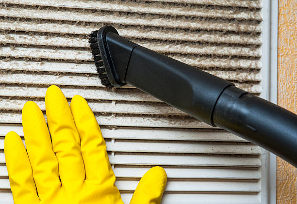 Best HVAC Maintenance and Cleaning  in Belle Isle, FL